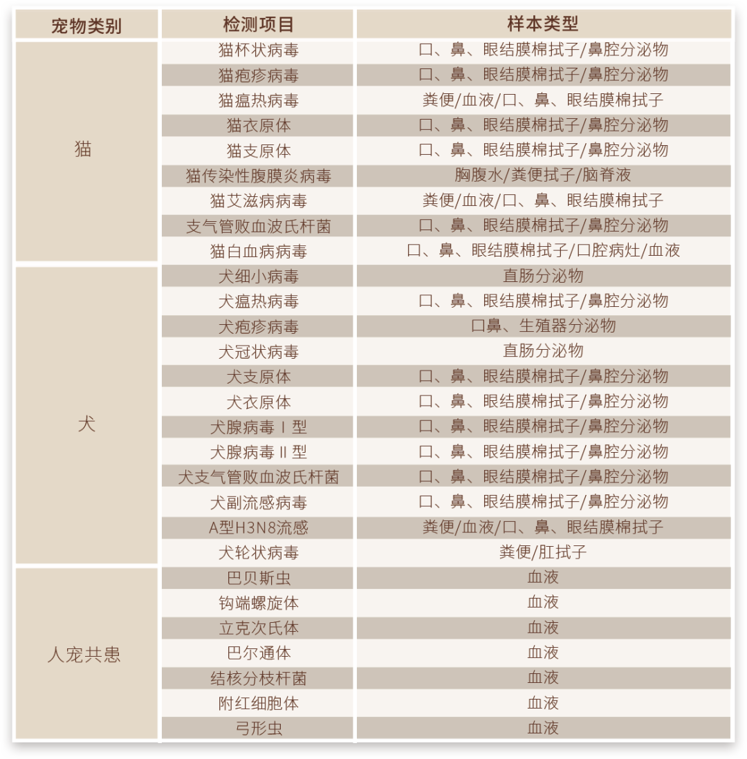 寵物醫療丨寵物微型熒光定量PCR儀